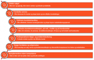 Dette hjelper SeeYou Consulting med
